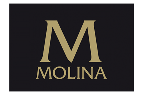 LUIS MOLINA ACEDO, S.a.